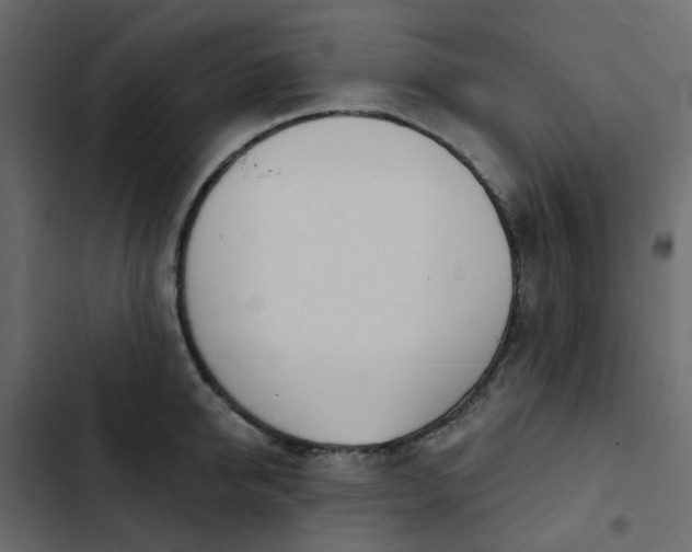 X0000102850950200809021357