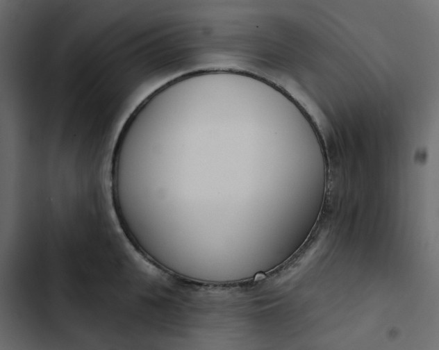 X0000102850951200809021357