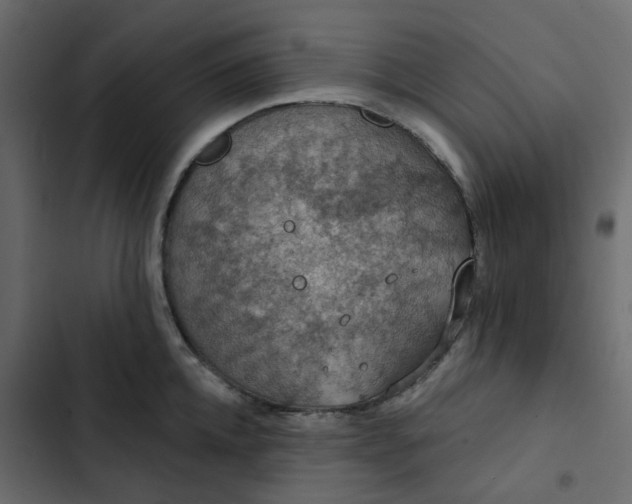 X0000102850952200809021357