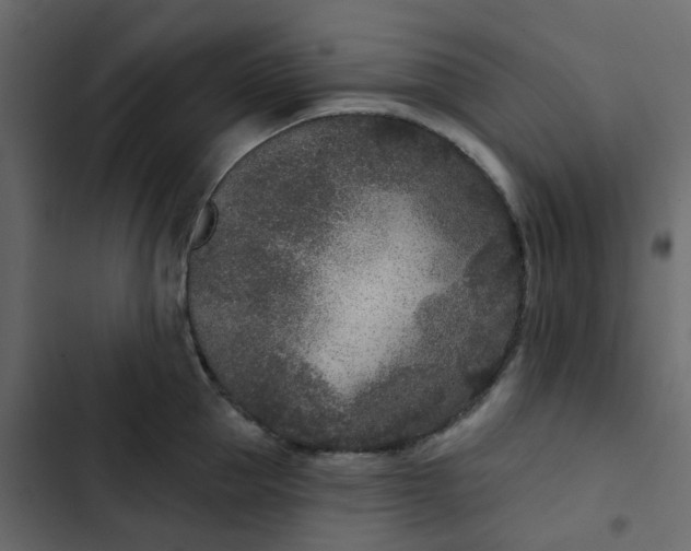 X0000102850953200809021357