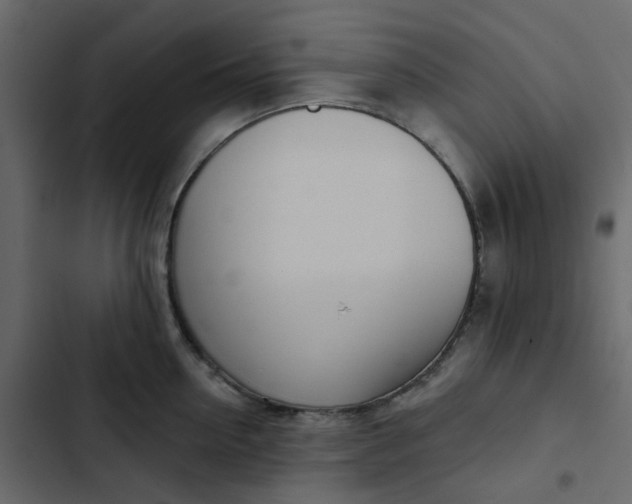 X0000102850954200809021357