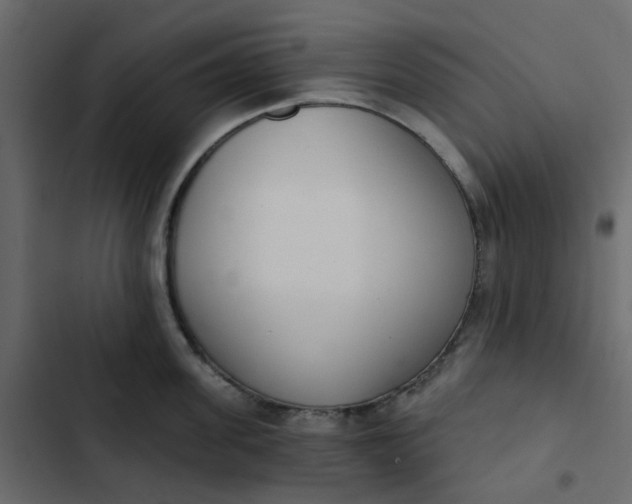 X0000102850955200809021357