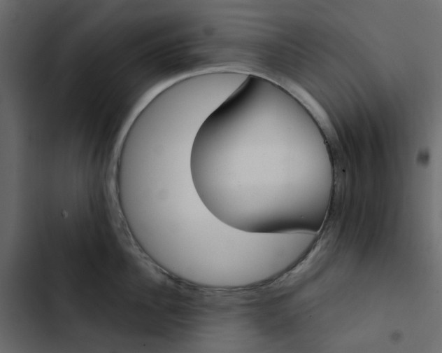 X0000102850956200809021357