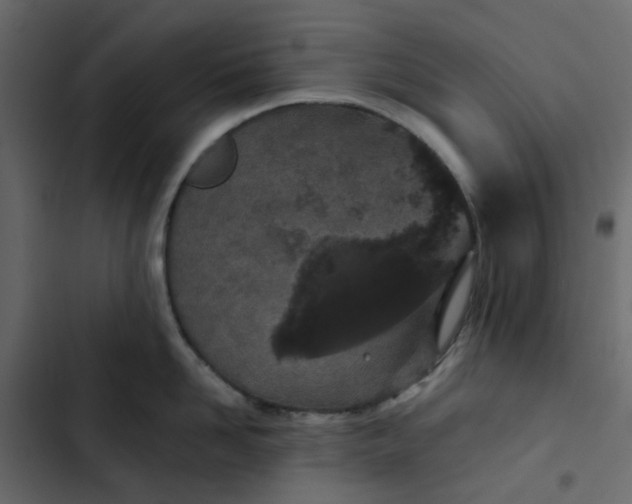 X0000102850958200809021357