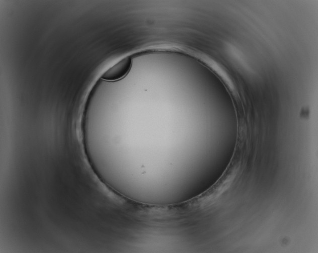 X0000102850959200809021357