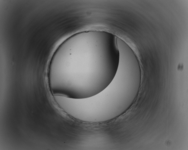 X0000102850960200809021357