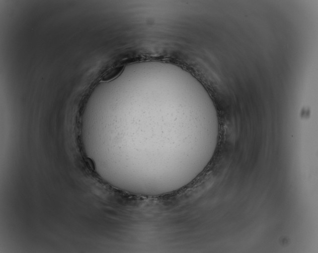 X0000102850961200809021357