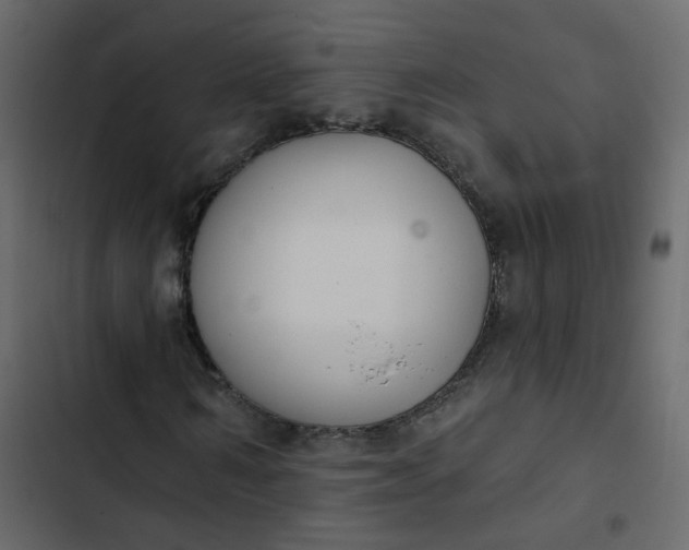 X0000102850962200809021357