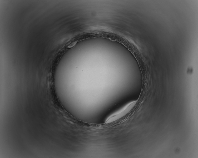 X0000102850965200809021357