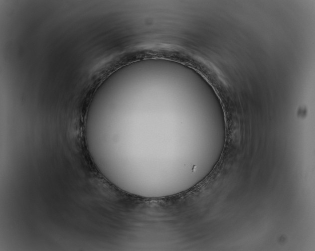 X0000102850966200809021357