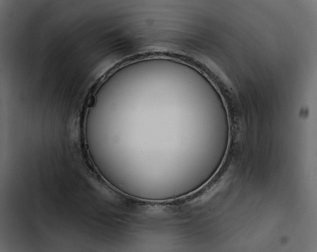 X0000102850969200809021356