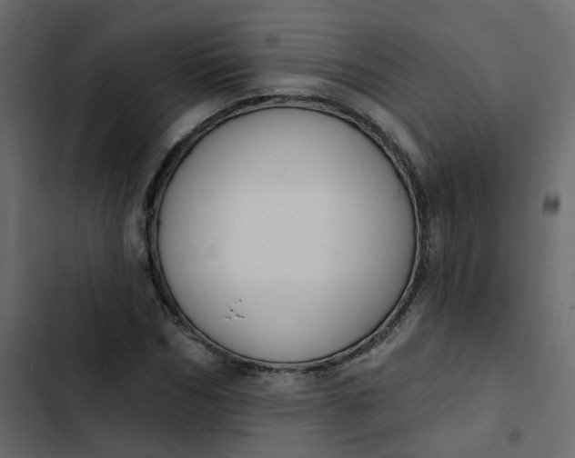 X0000102850970200809021356