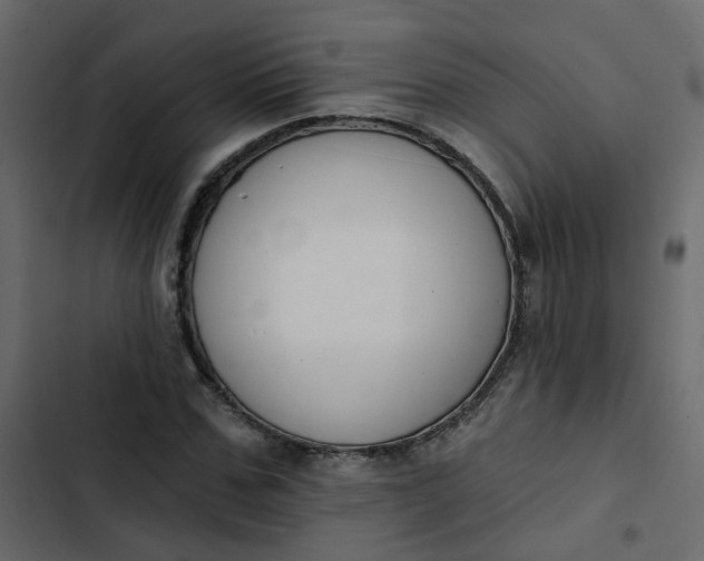 X0000102850971200809021356