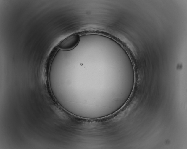 X0000102850973200809021356