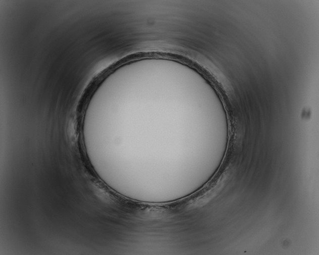 X0000102850974200809021356