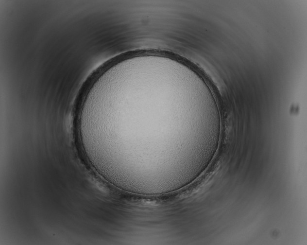 X0000102850975200809021356