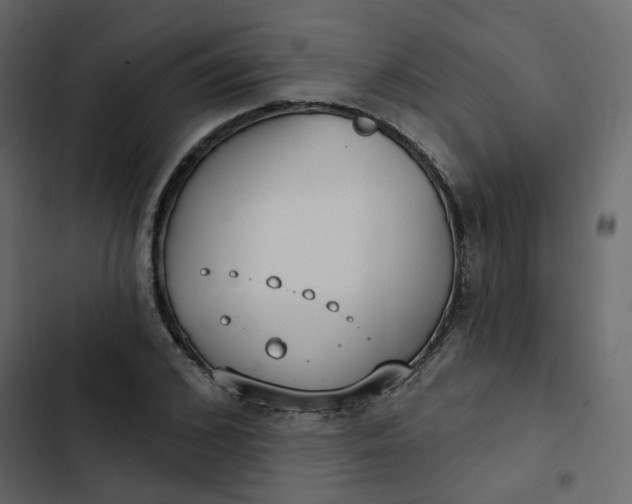 X0000102850976200809021356