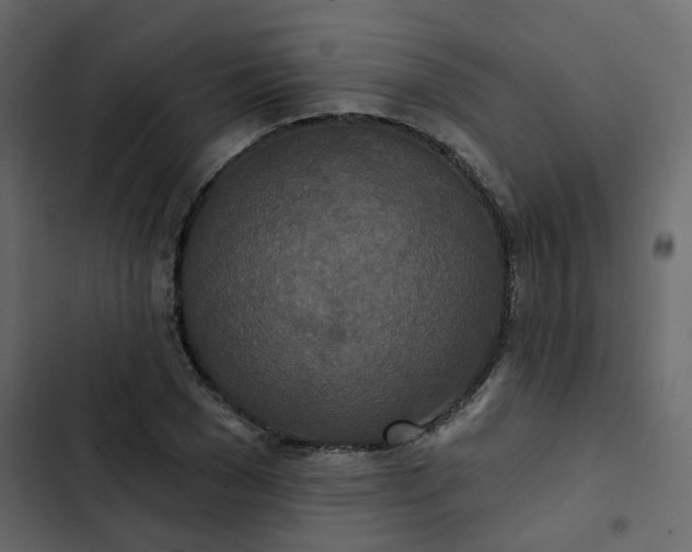 X0000102850977200809021356