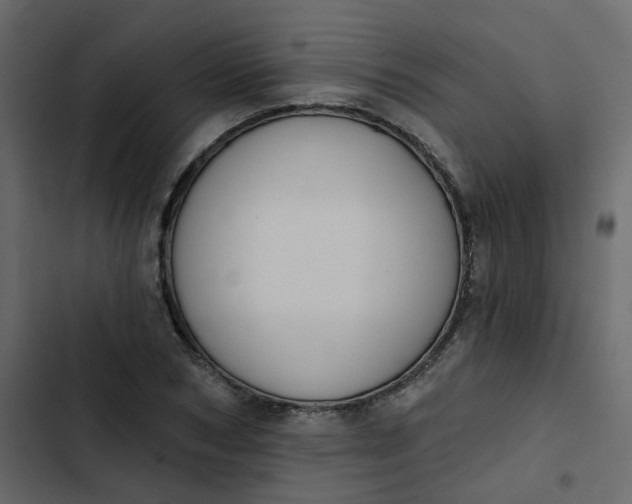 X0000102850978200809021356