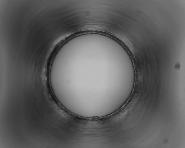 X0000102850979200809021356