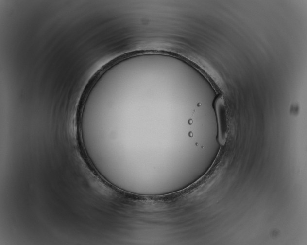 X0000102850980200809021356