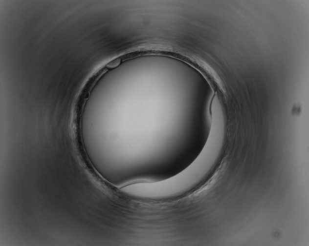 X0000102850981200809021356