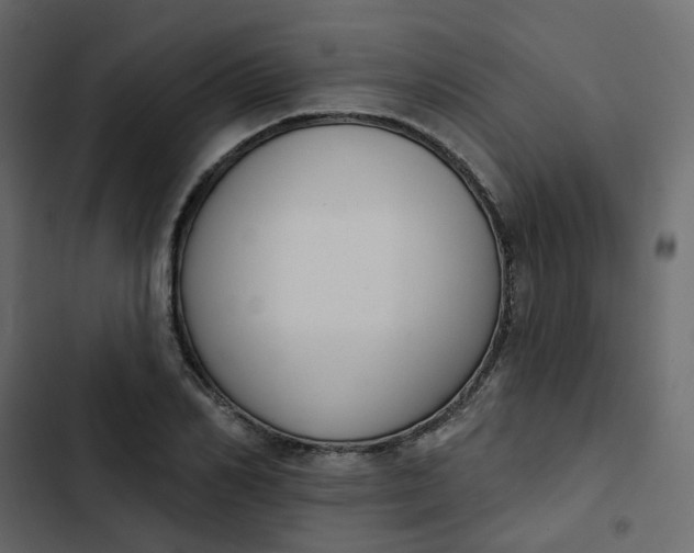 X0000102850982200809021356