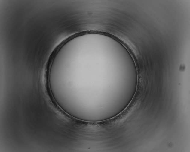 X0000102850983200809021356