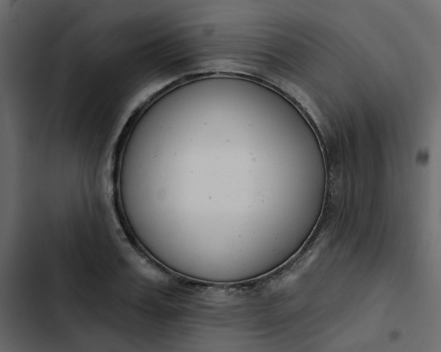 X0000102850987200809021356