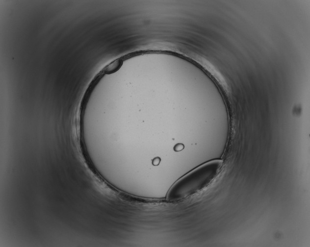 X0000102850988200809021356