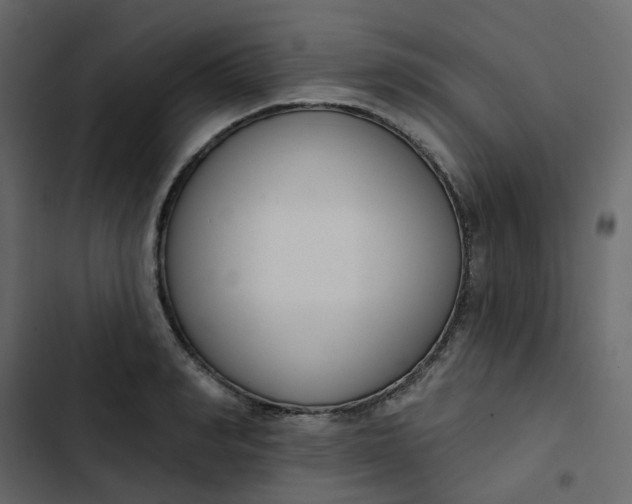 X0000102850990200809021356