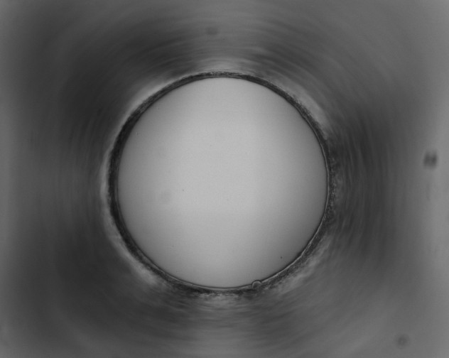 X0000102850991200809021356