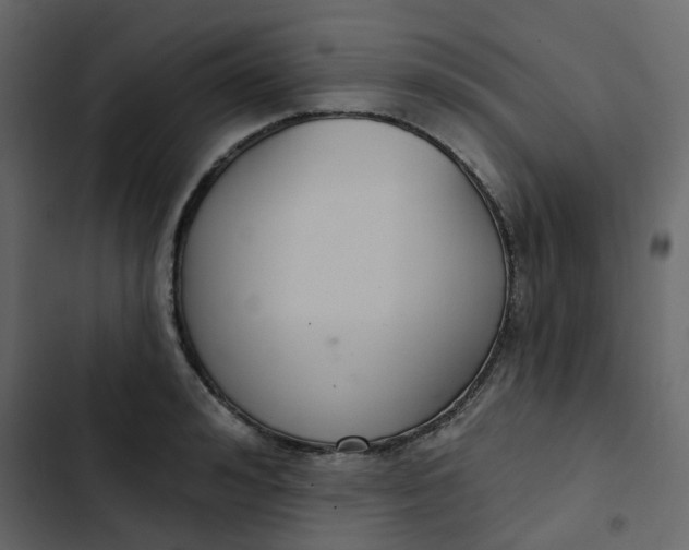 X0000102850992200809021356