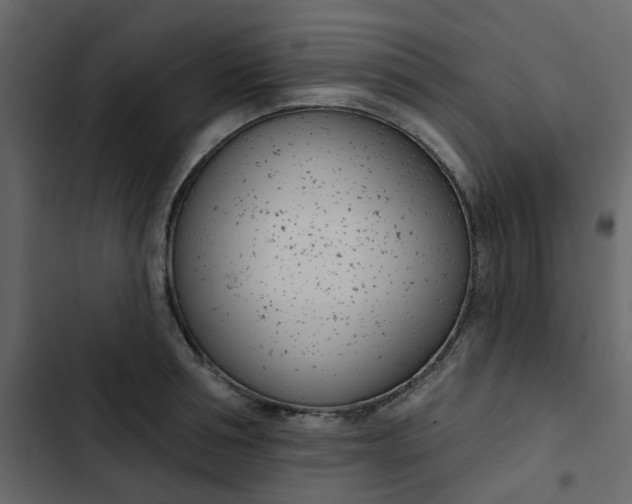 X0000102850994200809021356