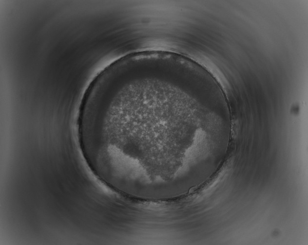 X0000102850995200809021356