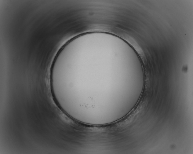 X0000102850996200809021356