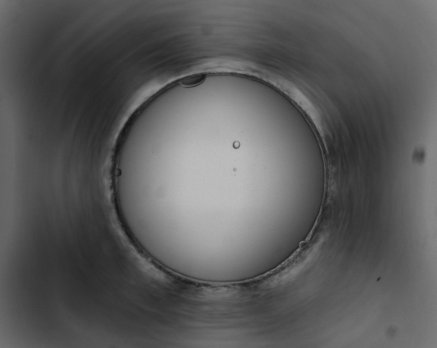 X0000102850997200809021356