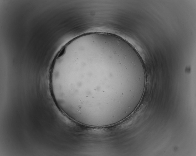 X0000102850998200809021356