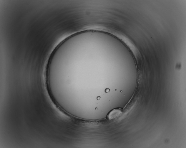 X0000102850999200809021356