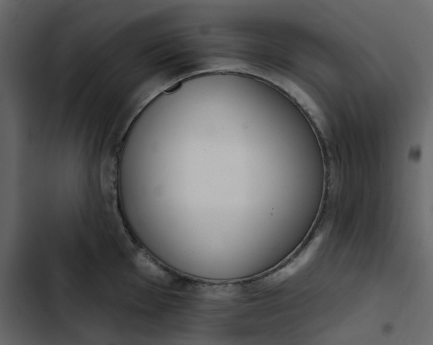 X0000102851001200809021356