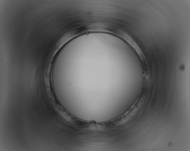 X0000102851002200809021356