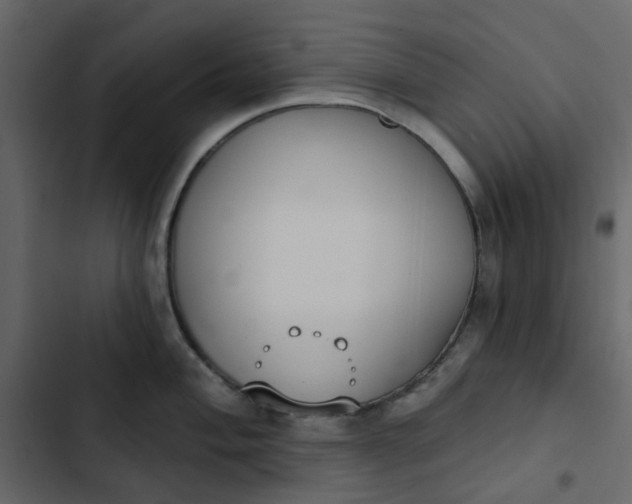 X0000102851004200809021356