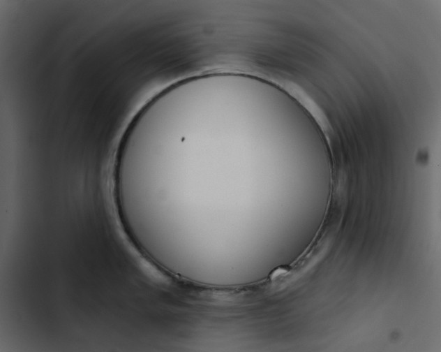 X0000102851005200809021356