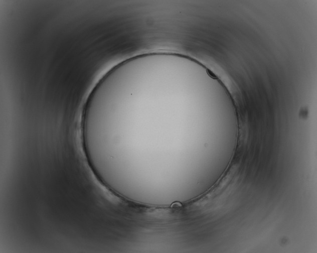 X0000102851006200809021356