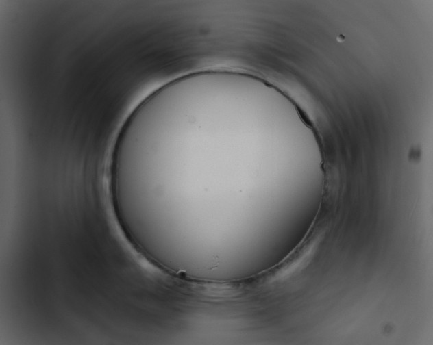 X0000102851007200809021356