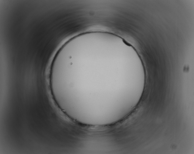 X0000102851008200809021356