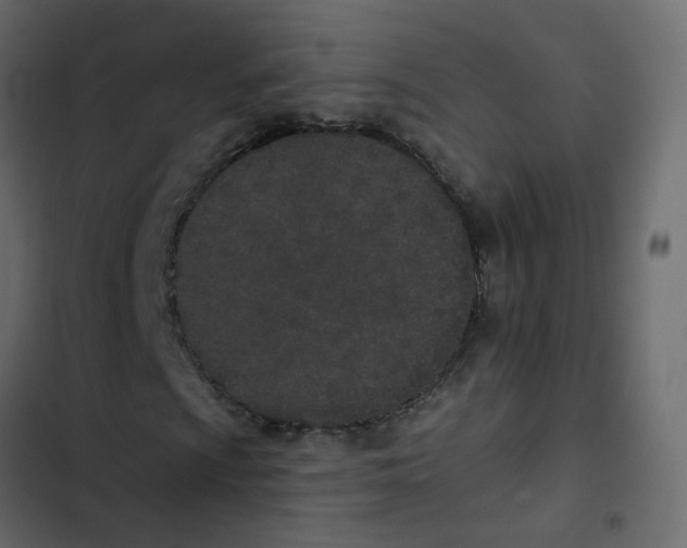 X0000102851009200809021355