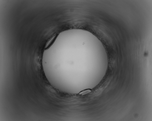 X0000102851010200809021355