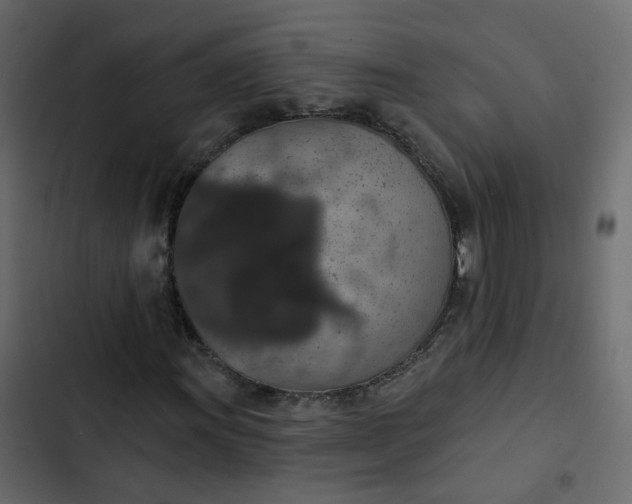 X0000102851011200809021355