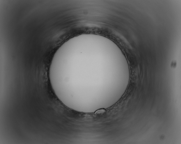 X0000102851013200809021355